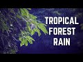 TROPICAL FOREST RAIN | 12 Hours | Black Screen | No Midway Ads | Relax/ Sleep/ Calm Anxiety/ Focus