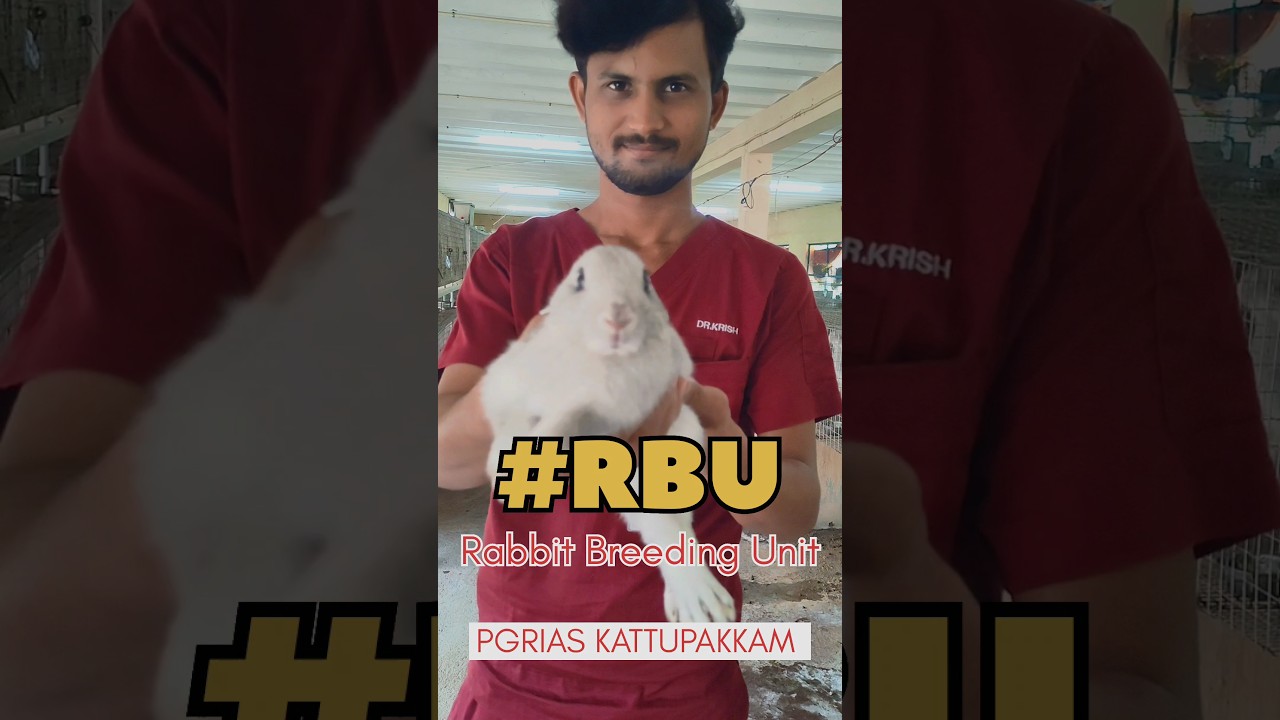 Veterinary Internship Farm training 