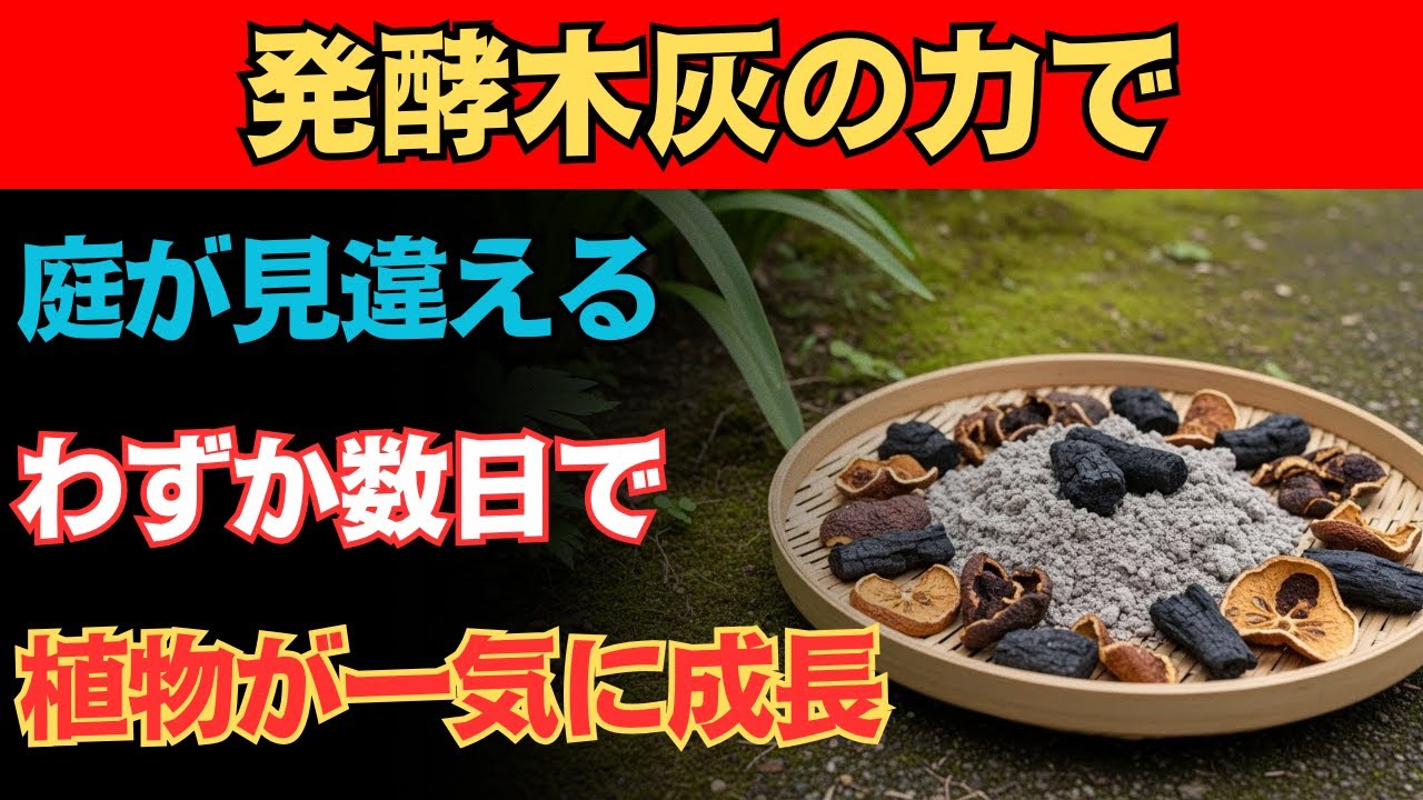この発酵木灰の活用法で、植物が驚くほど育つ！花が咲き、実がなり、味も深まる。元気に育ち、病気が減る本当の理由