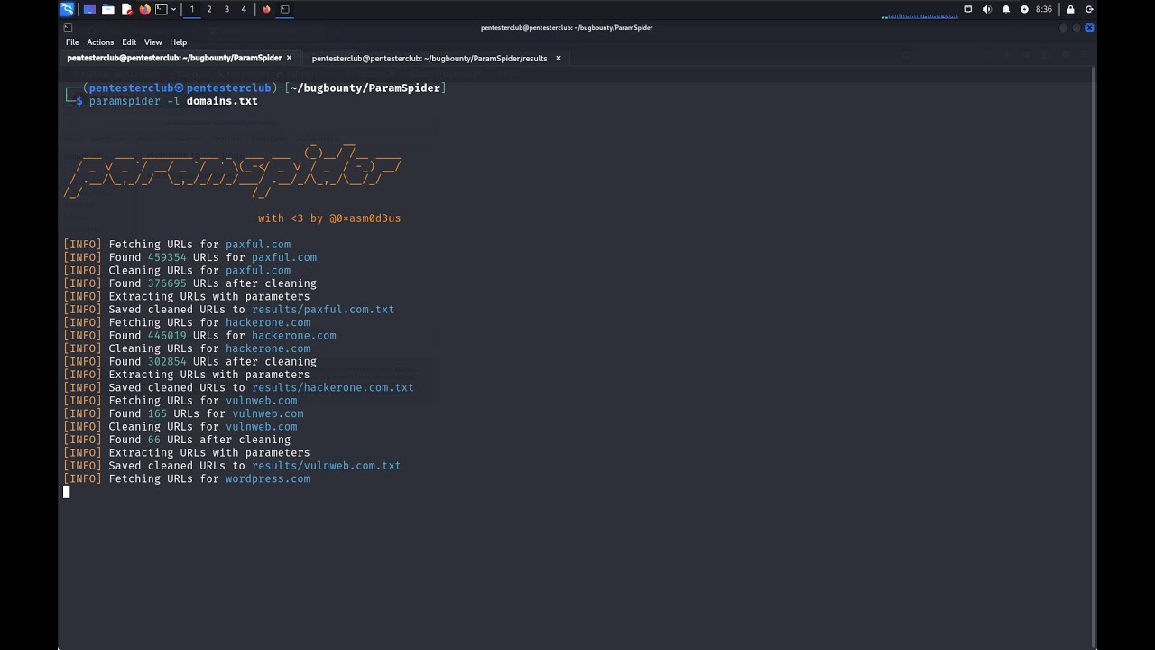 Bug Bounty Recon Secrets 🔐 | ParamSpider + Web Archives = Goldmine