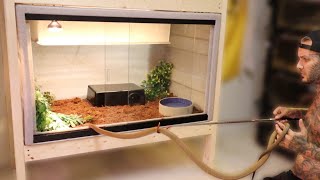 NEW Vision Cage for my King Cobra! *How to Setup*