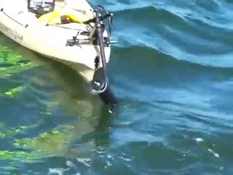 make canoe trolling motor mount marvella