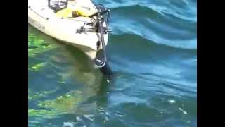 Transom Mount Kayak Trolling Motor