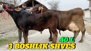 :  N_1  3      SOTILADIGON SHIVEDLAR NARXLARI SOTILAD