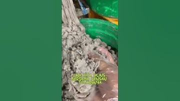 Thumbnail of 3 RAHASIA Pempek Seribuan