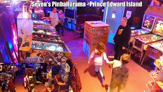 Unboxing The Big Lebowski pinball machine at  Seven&#39;s Pinballorama