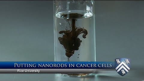 Rice chemists cram 2 million nanorods into a single cancer cell.