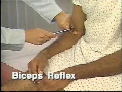 Deep tendon reflexes