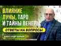 ВЛИЯНИЕ ЛУНЫ, ТАРО И ТАЙНЫ ВЕНЕРЫ. ОТВЕТЫ НА ВОПРОСЫ | АЛЕКСАНДР ЗАРАЕВ 2020