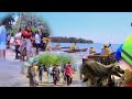 Mamia Ya Watu Washiriki Tendeguri Mjusi Festival Mchinga Bay Mamia Ya Watu Washiriki Tendeguri Mjusi Festival Mchinga Bay