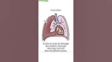 What is a Tension Pneumothorax? | Lecturio Emergency Medicine