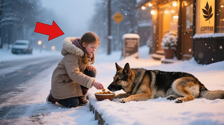 Everyone Ignored the Freezing K9 - Then a Little Girl Did Something No Adult Would