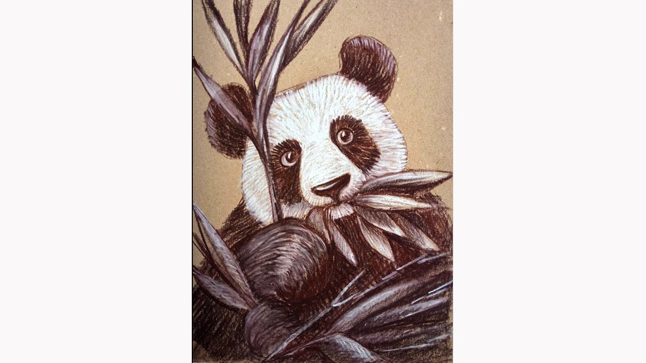 How to draw a Panda. Graphic arts. - YouTube