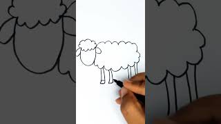 Sheep Drawing Easy