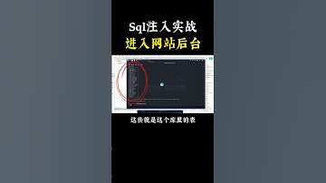 NINJA OMEGA SEC  |  Sql注入进入网站后台实战演示！纯技术科普！ #黑客 #程序员 #网络安全 #计算机 #信息安全
