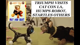 Triumph at CatCon LA
