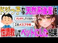 【2chSSスレ】後輩｢就活失敗しました！先輩、私の事を飼って下さい！！｣∧,,∧