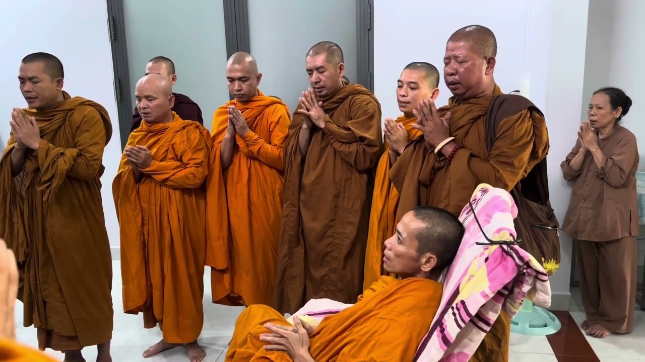 Giây phút xúc động khi Quý Sư từ Thiền viện Phước Sơn về thăm sư Phước Hải bệnh nặng …