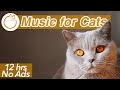 No ads extremely long relaxing cat music  12 hours of anti anxiety therapy