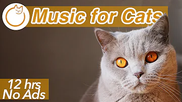 (NO ADS) EXTREMELY Long Relaxing Cat Music - 12 HOURS of Anti Anxiety Therapy