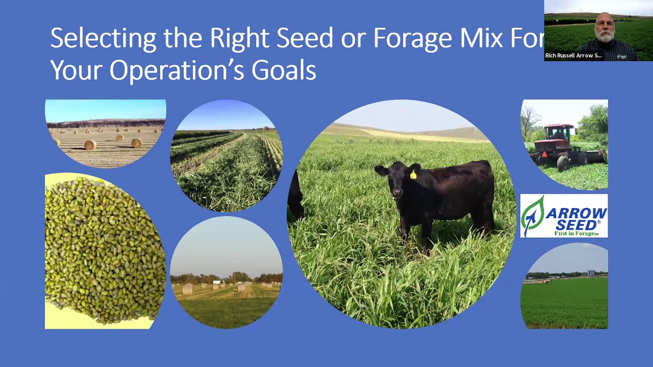 Selecting the Right Seed or Forage Mix for Your Operation's Goal