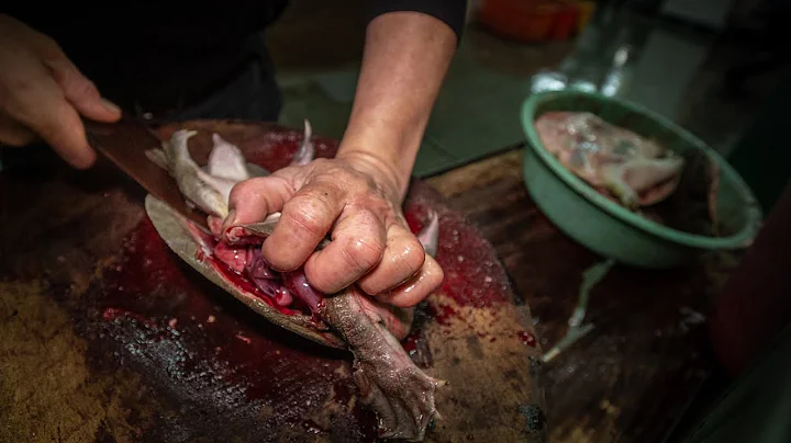 The Animal Reader #6:  Jo-Anne McArthur, photojour...