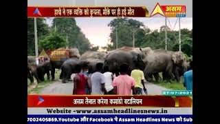 हाथी ने बेरहमी से कुचला, मौत |#Hathi |Assam Headlines News