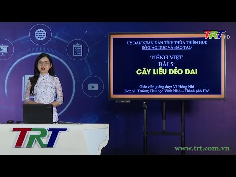 Video Tiếng Việt lớp 1 (KNTTVCS)- Bài 5: Cây liễu dẻo dai... - youtube
