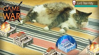 Game Of War Cat
