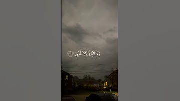القارئ : ياسر الدوسري  ﴿ وَمَا يَسْتَوِي الْأَعْمَىٰ وَالْبَصِيرُ﴾ [ سورة فاطر 19]