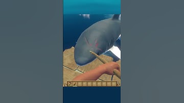 101 Raft Tips: #12: Shark Attacks