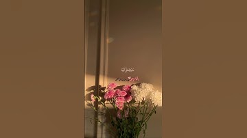 القرآن الكريم||لا يكلف الله نفساً إلا ما آتاها||القارئ رعد الكردي||القرآن🌸🤍||