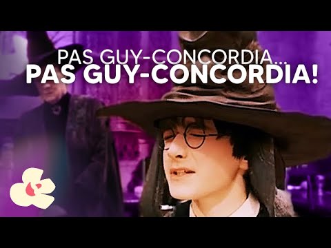 Harry Potter à la STM (french spoof - English Subtitles available)