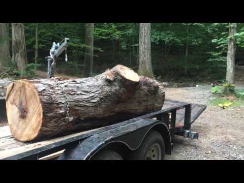 Warn M8000 winch drags a  4000 pound white oak log off trailer