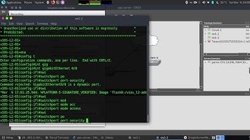 port security error in switches