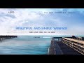 Beautiful And Simple WebPage Using HTML Only (No CSS Used) | HTML TUTORIALS