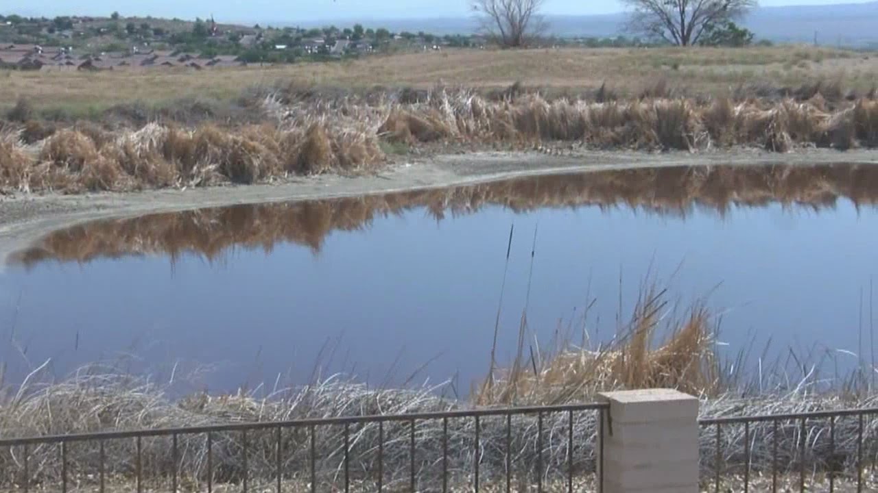 Residents: Old Club Rio Rancho pond stinks - YouTube