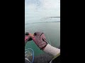 Fishing - Live Stream