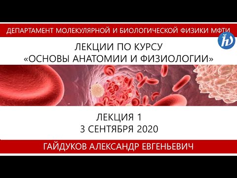 Основы анатомии и физиологии, Гайдуков А.Е., Лекция 1, 03.09.20