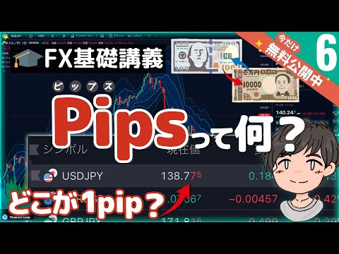 FXのpips(ピップス)とは？pips完全理解! この動画でしっかり理解しよう! (前半, 期間限定無料公開中)
