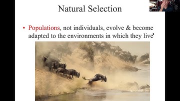 Evolution- Natural (Sexual) selection Lecture Video