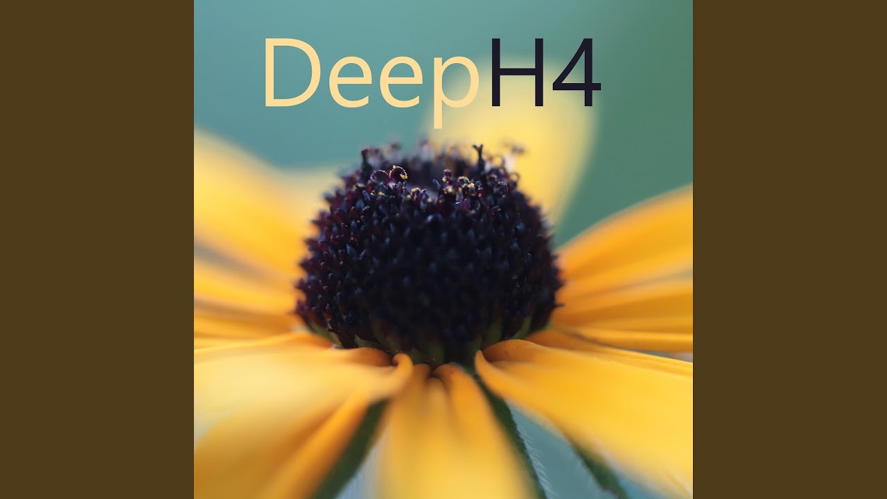 Watch DeepH4 on YouTube Watch DeepH4 on YouTube