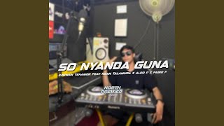 SO NYANDA GUNA X MODEL RUPA ANGKO - DISCO TANAH