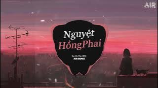 Nguyệt Hồng Phai (AIR Remix) - Huy TK x NH4T x Pha ♫ Bóng Trăng Đã Phai Tàn Rồi Remix TikTok