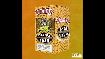 Mob Trap-gang out (snippet)