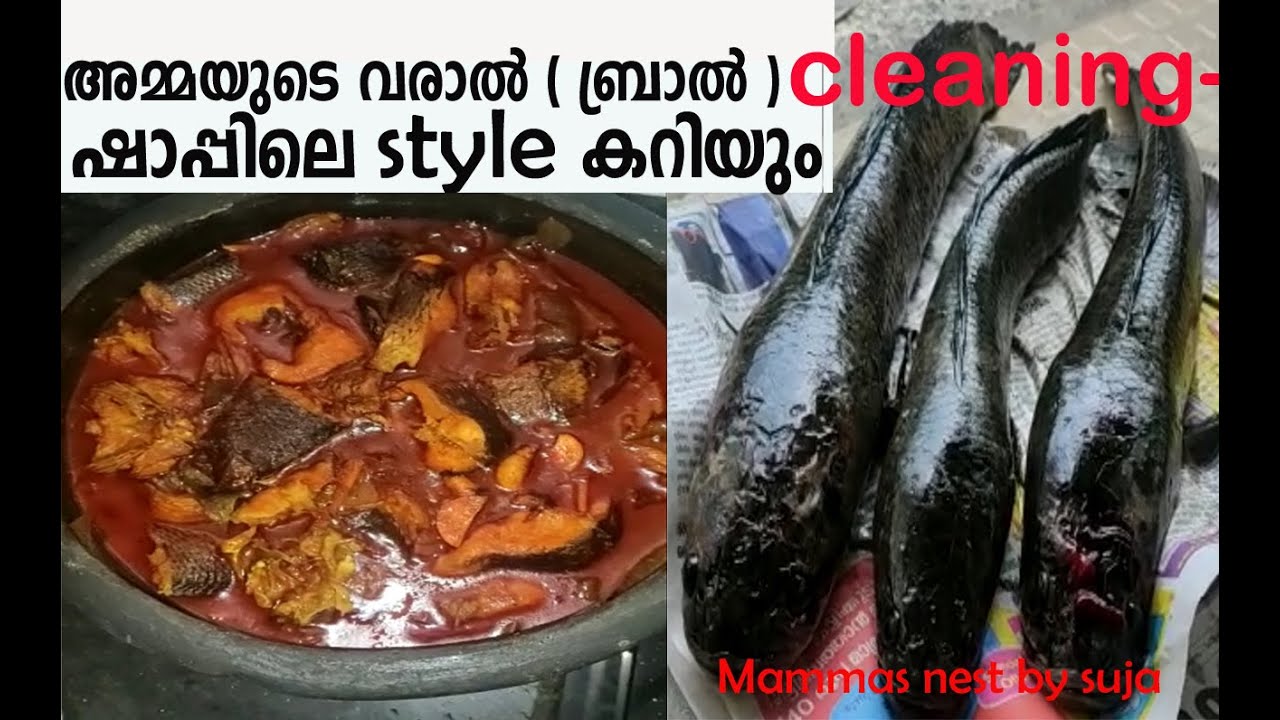 Varaal Bral Murrel Cleaning And Traditional Shaap Style Cooking At Home Kerala Style Spicy Youtube youtube
