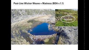 01 I Low Tech Structures; Building BDAs (Beaver Dam Analogs)