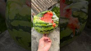 🍉💥🔥Will a watermelon explode if it rolls off a tall building?#shorts