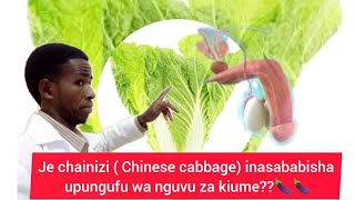 Fahamu uhusiano Kati ya mboga ya chainizi na tatizo la upungufu wa nguvu za kiume 🍆 🍆🍆.