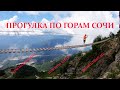 Горы Сочи. Красная поляна. Пик Роза Хутор. Реликтовый лес.